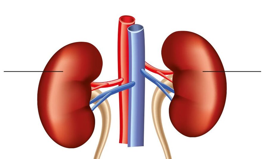 Hypertension rérénale